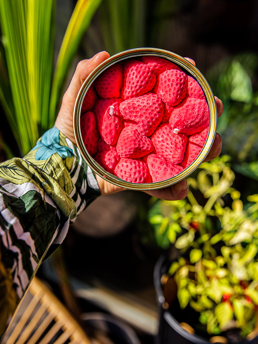 キャンドル　Ripe Strawberries